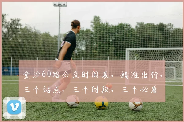 金沙60路公交时间表，精准出行，三个站点，三个时段，三个必看