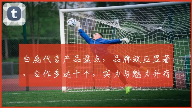 白鹿代言产品盘点，品牌效应显著，合作多达十个，实力与魅力并存，引发热议