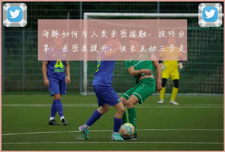 海豚如何与人类亲密接触，技巧分享，亲密度提升，快乐互动三步走，必看攻略