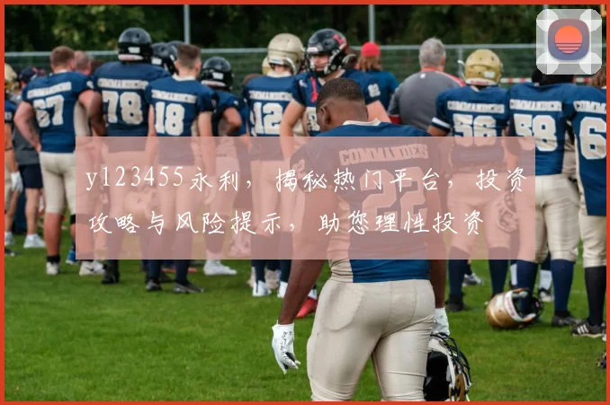 yl23455永利，揭秘热门平台，投资攻略与风险提示，助您理性投资