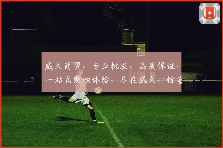 威久商贸，专业批发，品质保证，一站式购物体验，尽在威久，惊喜不断